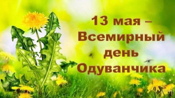 13 мая – Всемирный день одуванчика. 13 мая – Всемирный день одуванчика.